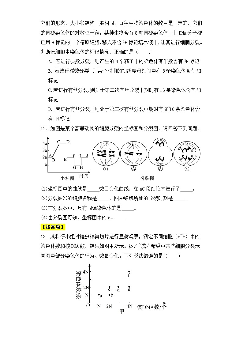 人教版高中生物必修二2.1.1减数分裂与受精作用课件+同步分层练习（含答案解析）03