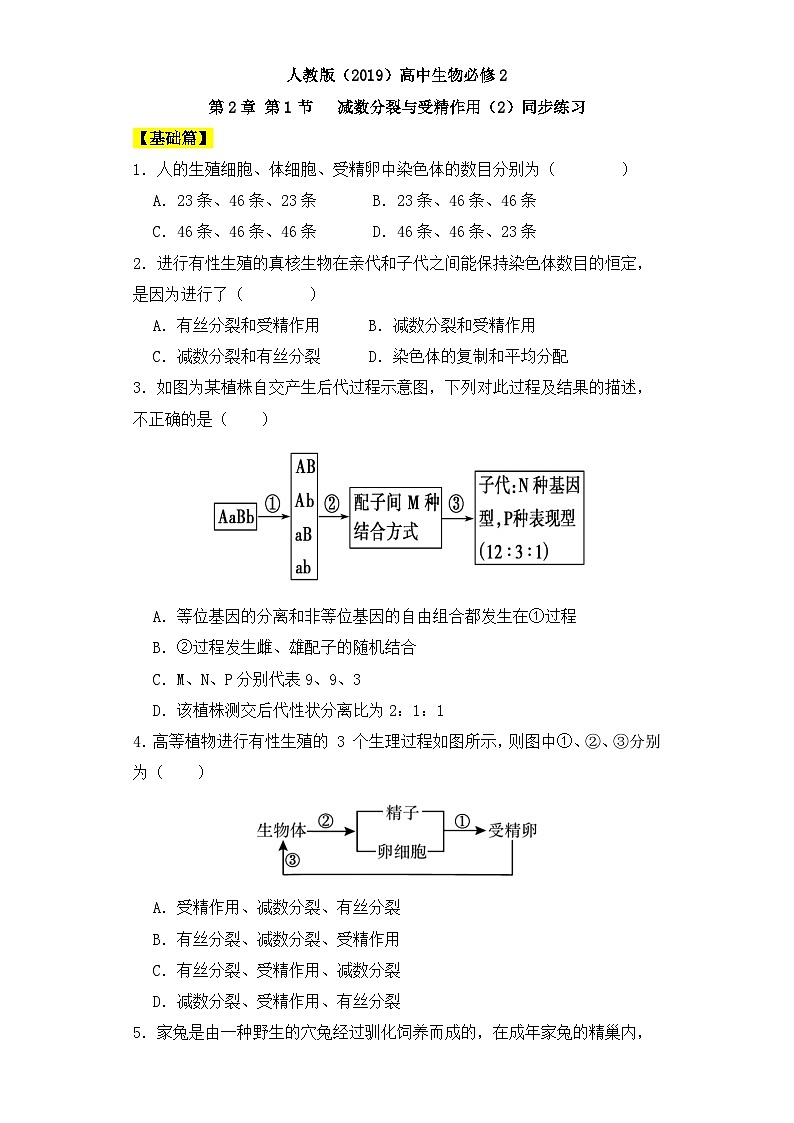 人教版高中生物必修二2.1.2减数分裂与受精作用同步练习（含答案解析）第1页