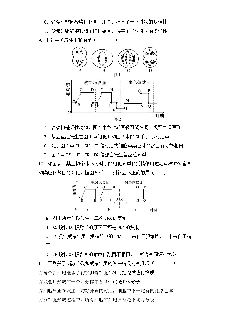 人教版高中生物必修二2.1.2减数分裂与受精作用同步练习（含答案解析）第3页