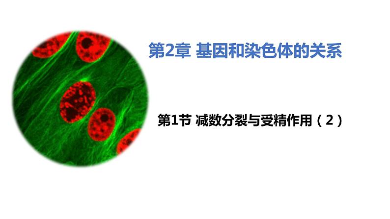 人教版高中生物必修二2.1.2受精作用课件第1页