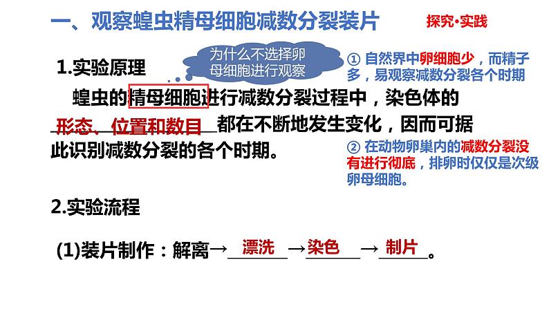 人教版高中生物必修二2.1.2受精作用课件第2页