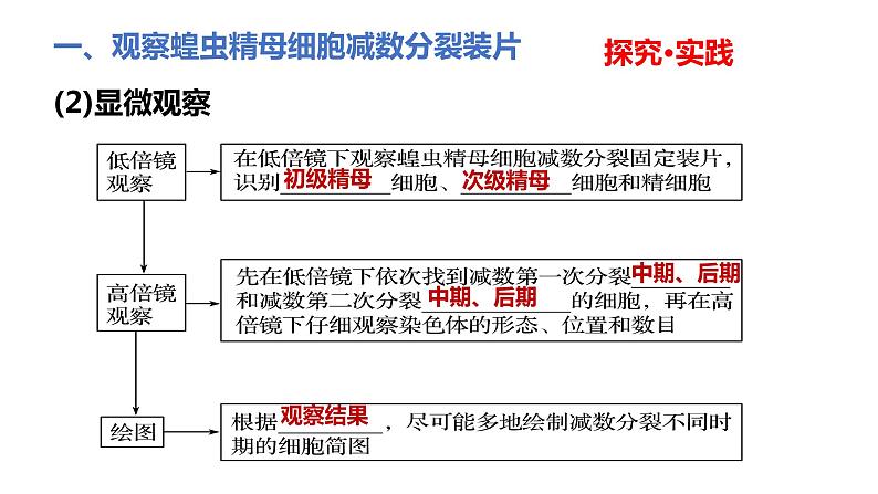 人教版高中生物必修二2.1.2受精作用课件第3页