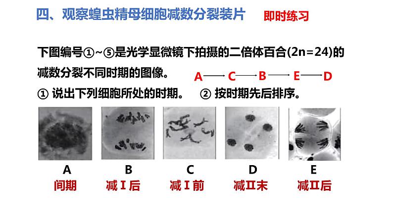 人教版高中生物必修二2.1.2受精作用课件第6页