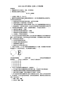 四川省达州外国语学校2023-2024学年高一上学期11月月考生物试题