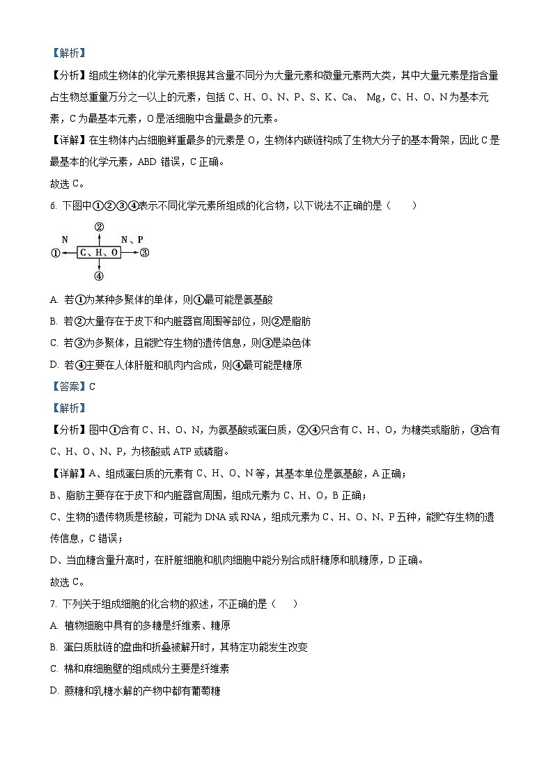 云南省开远市第一中学2023-2024学年高一上学期期中生物试题（Word版附解析）第3页