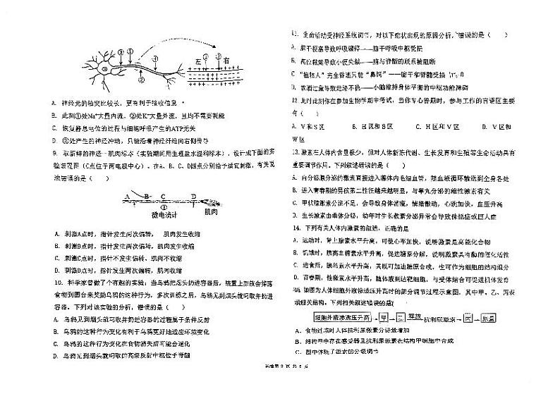 内蒙古自治区赤峰学院附属中学2023-2024学年高二上学期12月第一次月考生物试题第2页