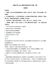 重庆市巴蜀中学2023-2024学年高三上学期适应性月考（四）生物试题（Word版附解析）