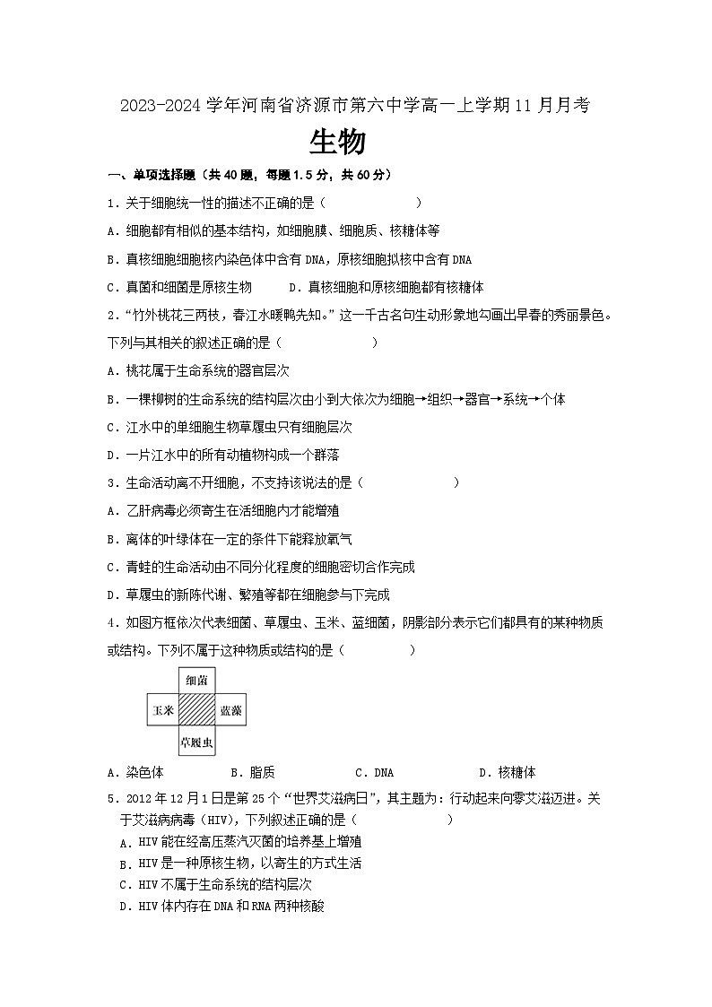 河南省济源市第六中学2023-2024学年高一上学期11月月考生物试题01