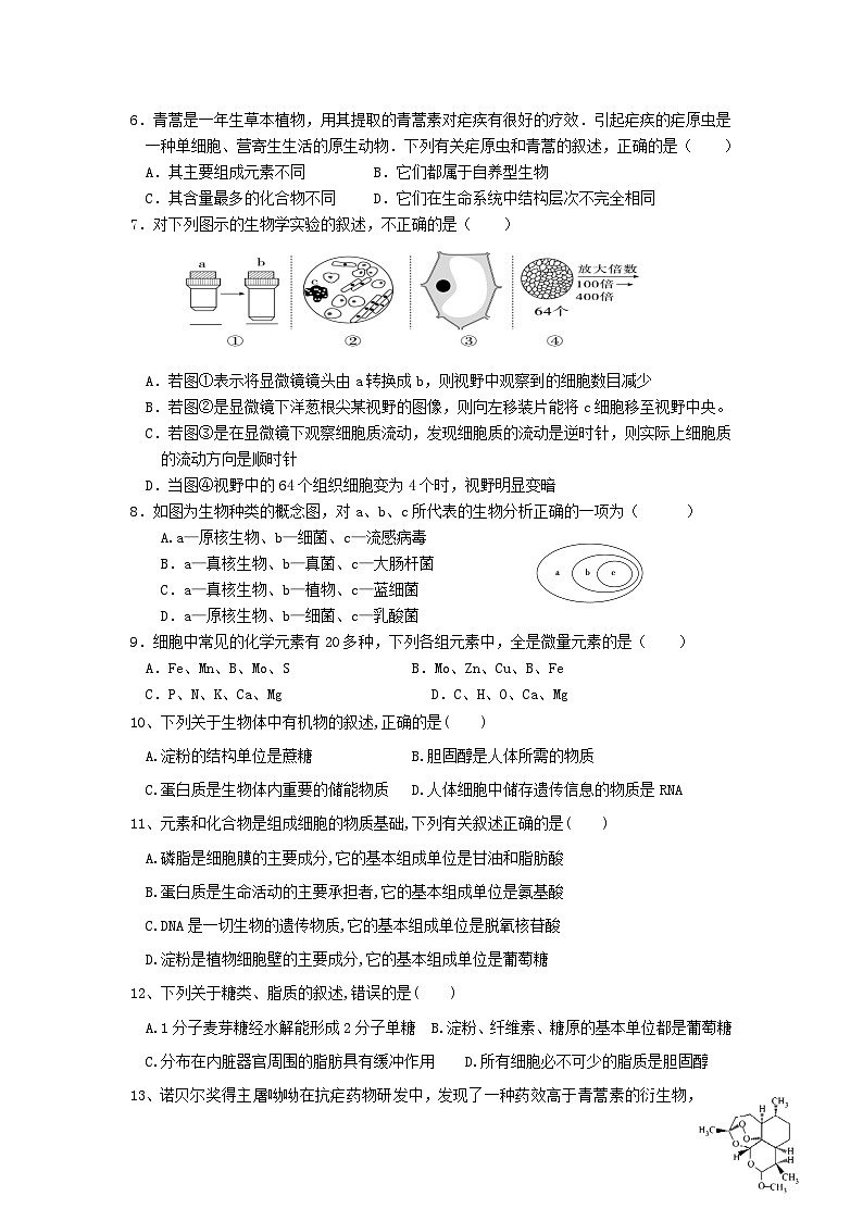 河南省济源市第六中学2023-2024学年高一上学期11月月考生物试题02
