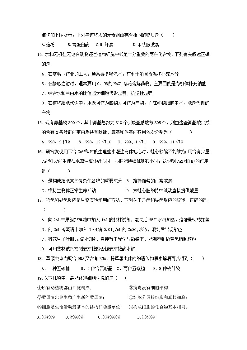 河南省济源市第六中学2023-2024学年高一上学期11月月考生物试题03