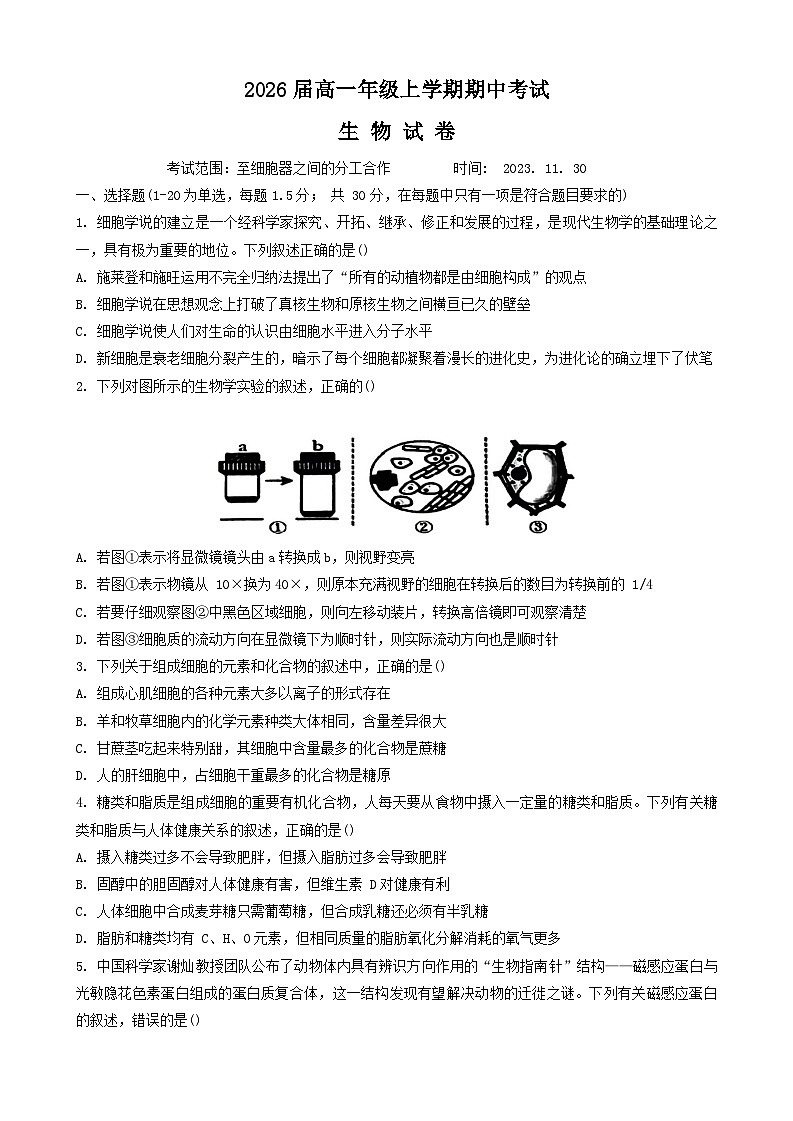 江西省三市八校联盟2023-2024学年高一上学期期中联考生物试卷第1页