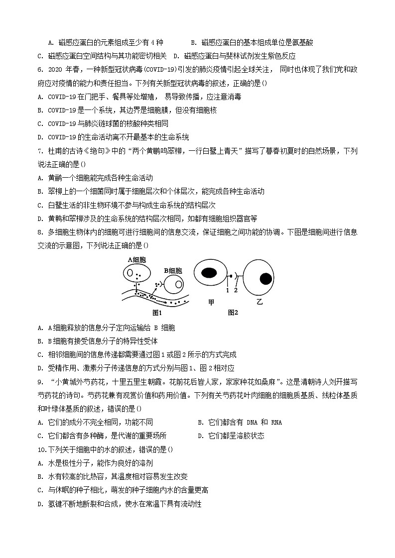 江西省三市八校联盟2023-2024学年高一上学期期中联考生物试卷第2页