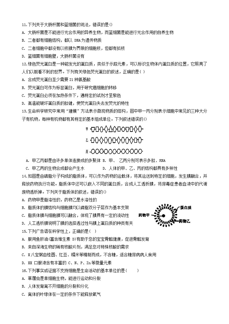 江西省三市八校联盟2023-2024学年高一上学期期中联考生物试卷第3页