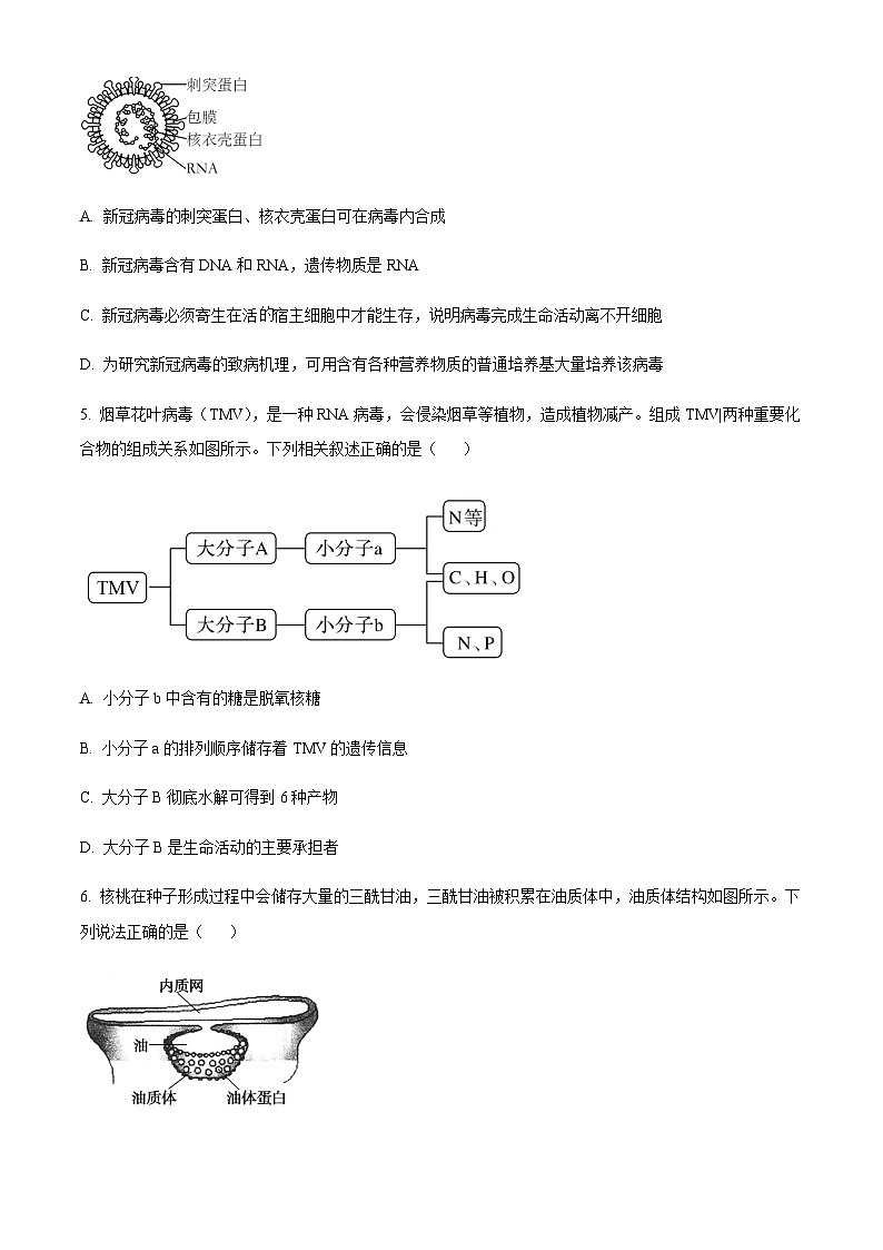 2022-2023学年内蒙古巴彦淖尔市第一中学高一上学期期末生物试题含答案02