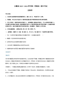 2023-2024学年安徽省滁州中学九校联盟高一上学期期中考试生物试题含答案