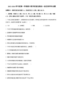 2023-2024学年广东省揭阳市揭东区高一上学期期中考试生物含答案