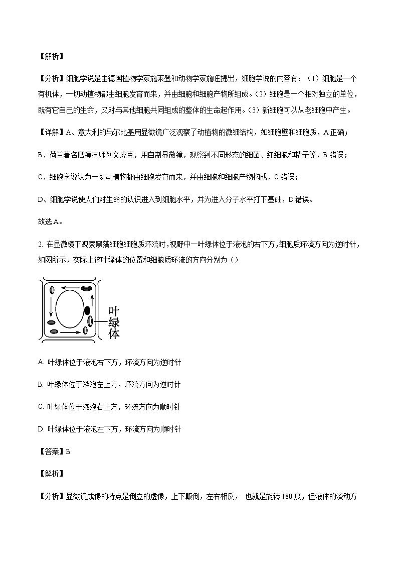 2023-2024学年广东省阳江市高一上学期10月期中考试生物含答案02