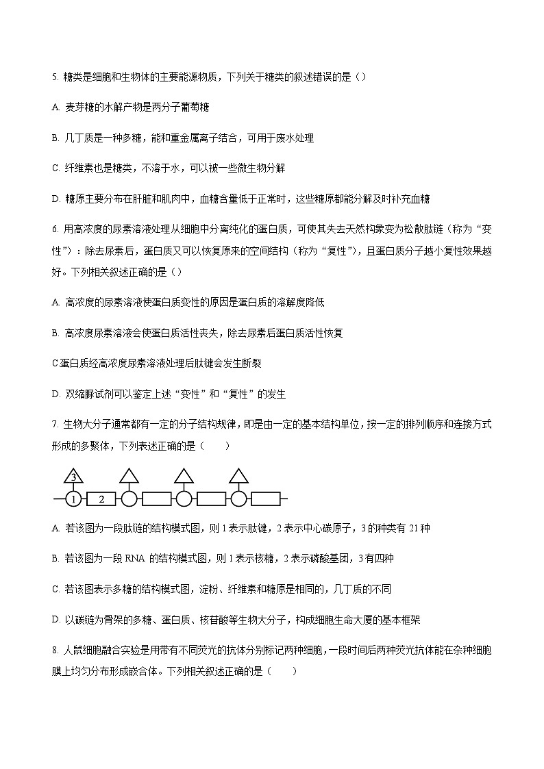 2023-2024学年广东省阳江市高一上学期10月期中考试生物含答案03