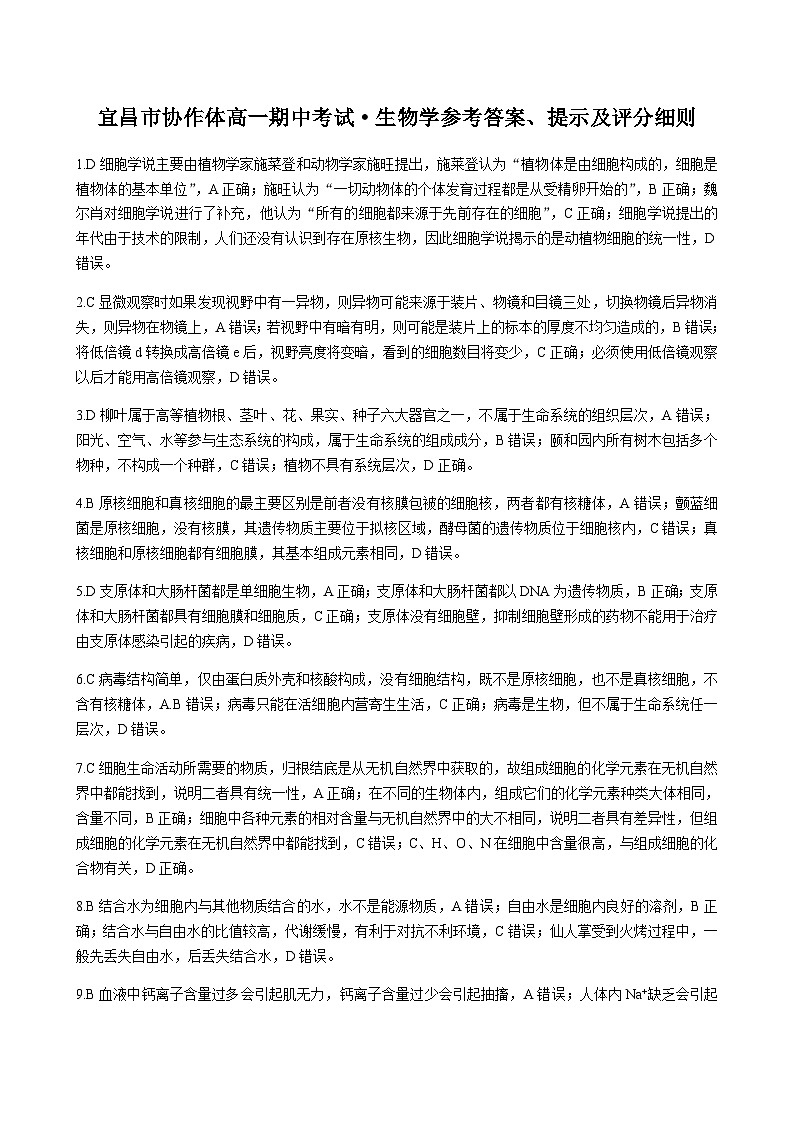 2023-2024学年湖北省宜昌市一中协作体高一上学期期中考试生物含答案01