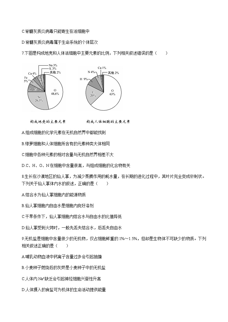 2023-2024学年湖北省宜昌市一中协作体高一上学期期中考试生物含答案03