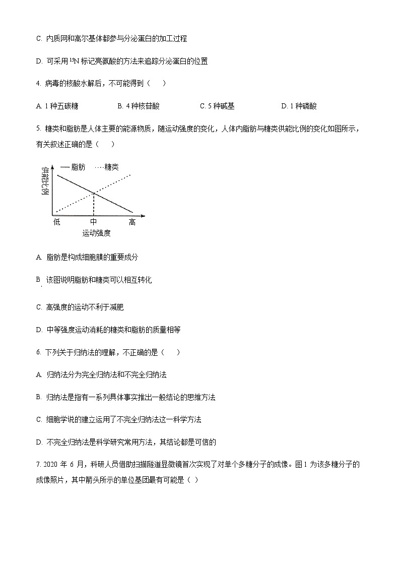2023-2024学年吉林省长春市东北师范大学附属中学高一上学期期中考试生物含答案02