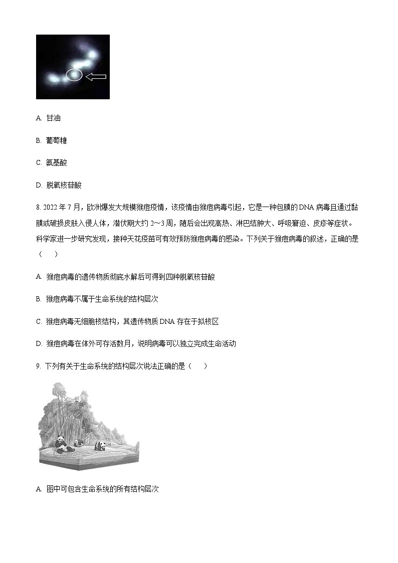 2023-2024学年吉林省长春市东北师范大学附属中学高一上学期期中考试生物含答案03