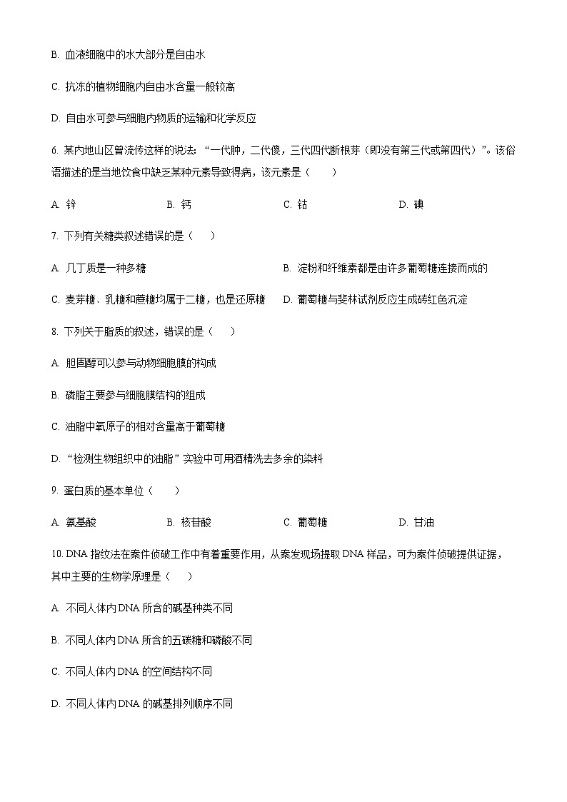 2023-2024学年四川省达州外国语学校高一上学期期中考试生物含答案02