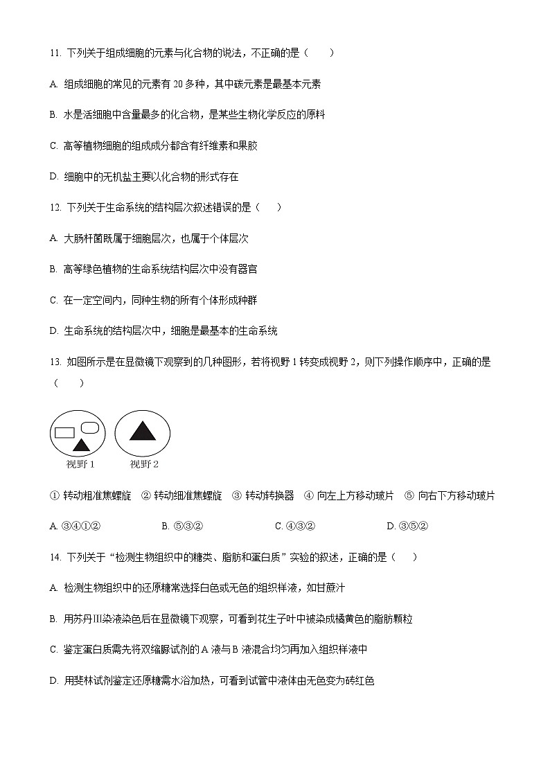 2023-2024学年四川省达州外国语学校高一上学期期中考试生物含答案03