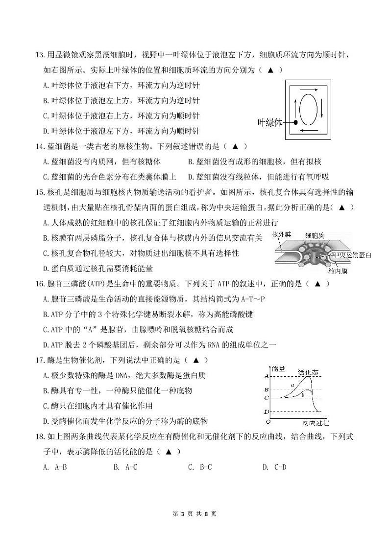 2023-2024学年浙江省余姚中学高一上学期期中考试生物含答案03