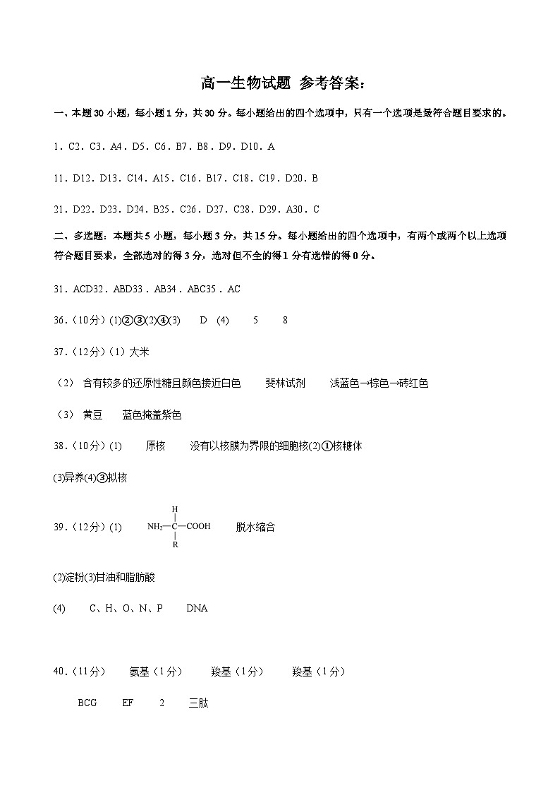 河北省衡水市武强中学2023-2024学年高一上学期期中考试生物word版含答案01