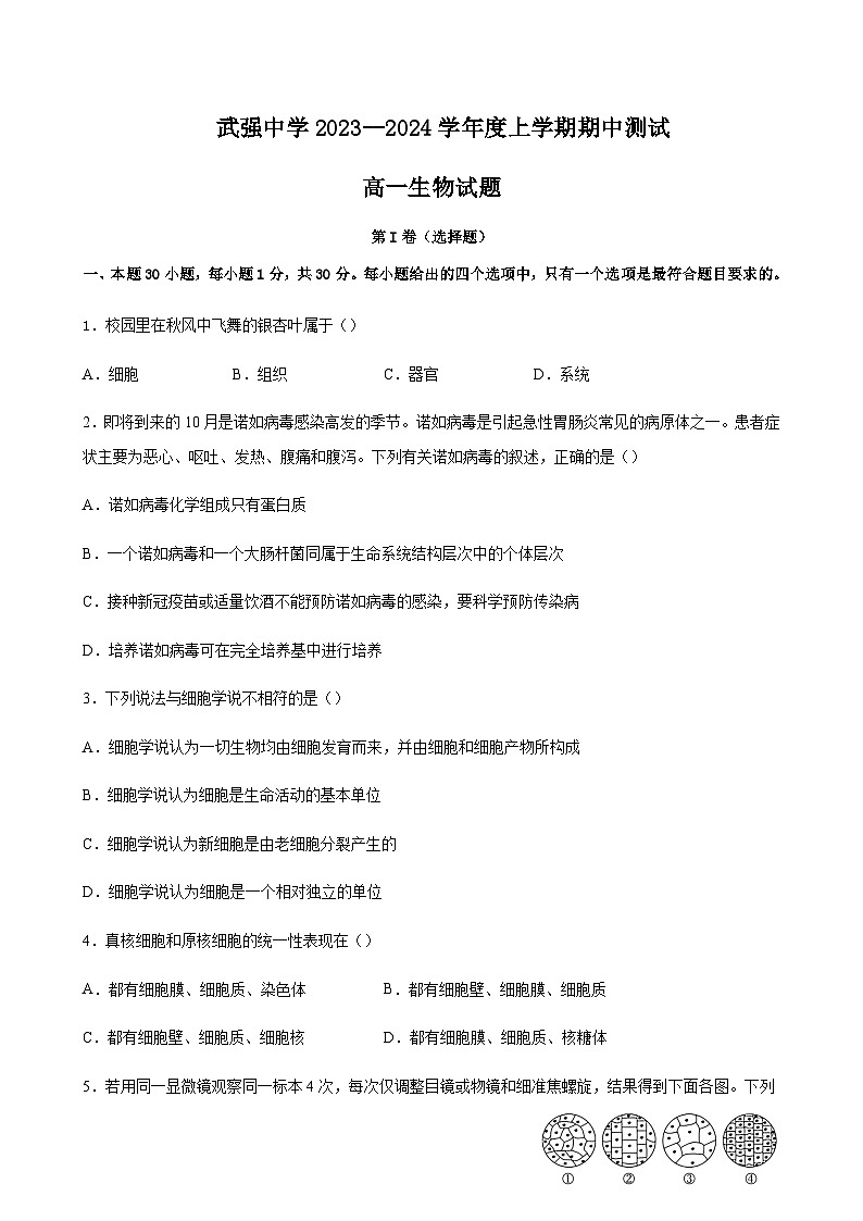 河北省衡水市武强中学2023-2024学年高一上学期期中考试生物word版含答案01