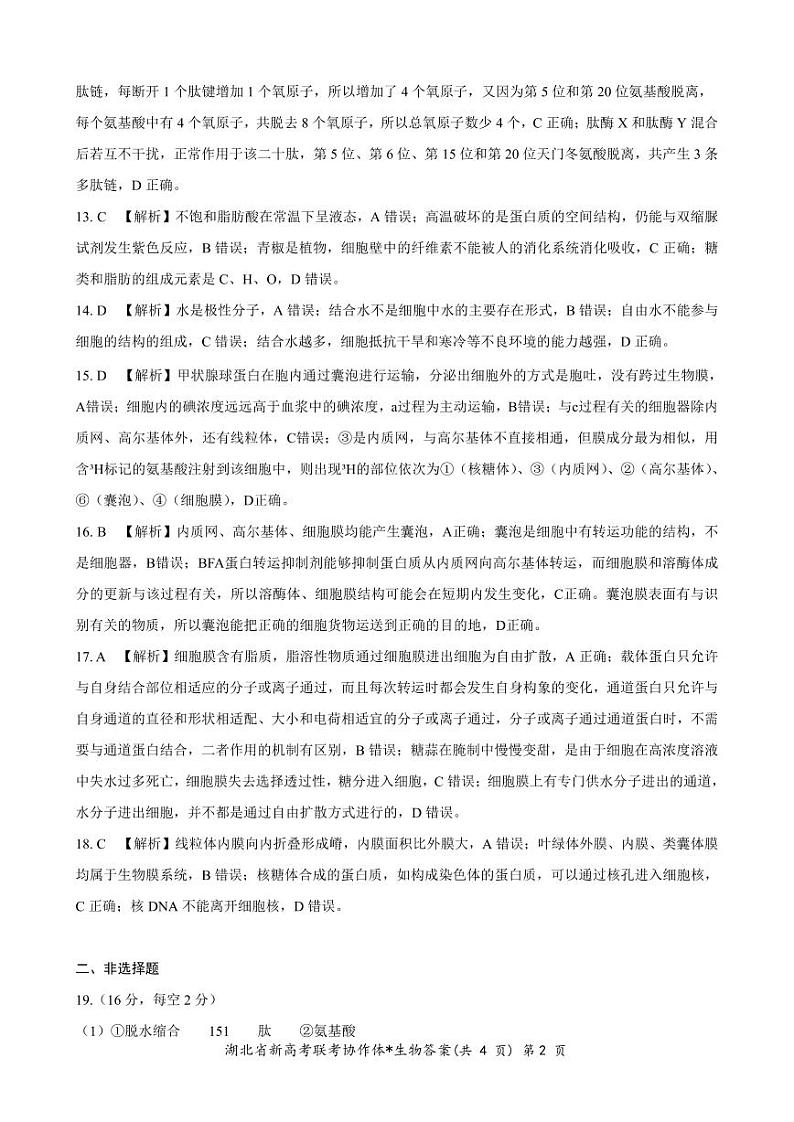 2023-2024学年湖北省孝感市高中部分学校高一上学期期中联考生物试题02