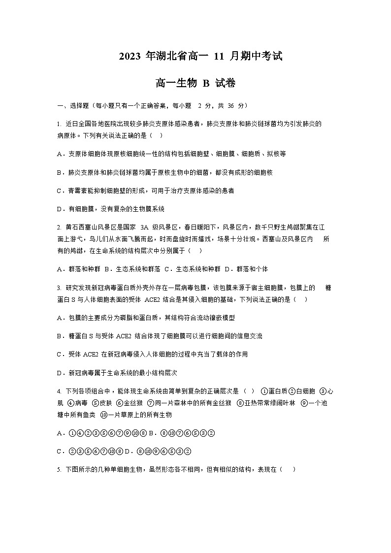2023-2024学年湖北省孝感市高中部分学校高一上学期期中联考生物试题01