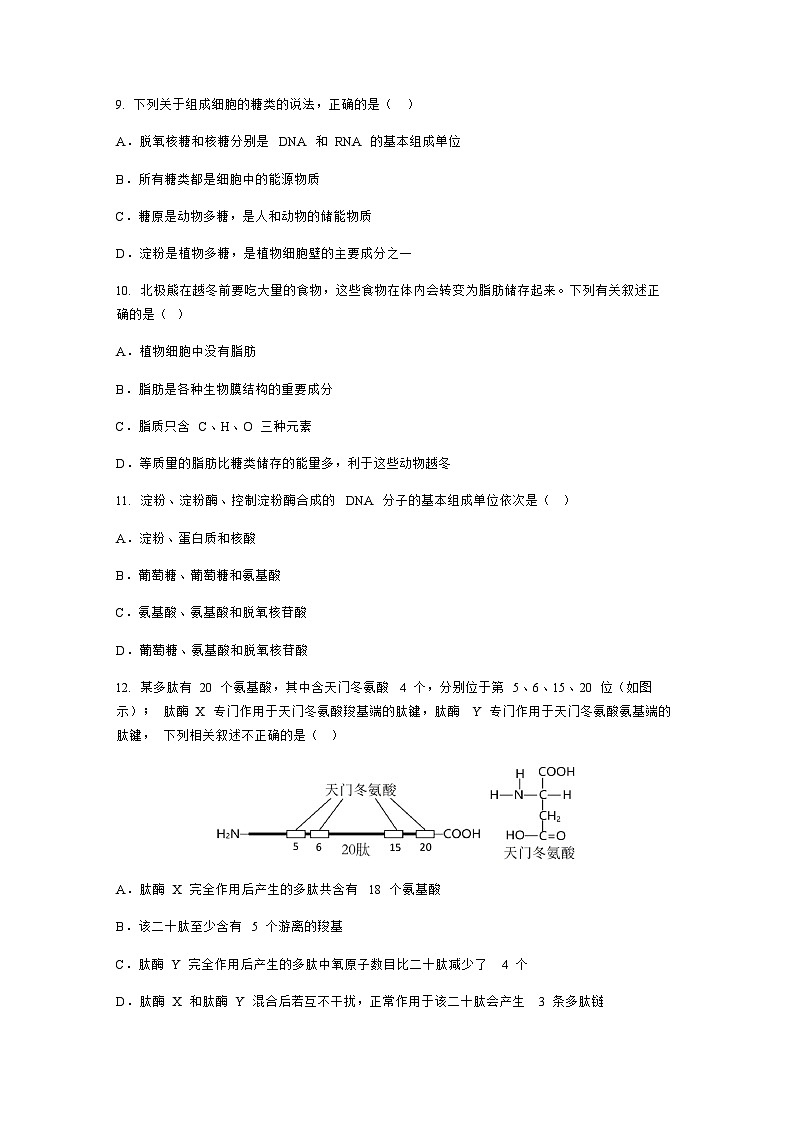 2023-2024学年湖北省孝感市高中部分学校高一上学期期中联考生物试题03