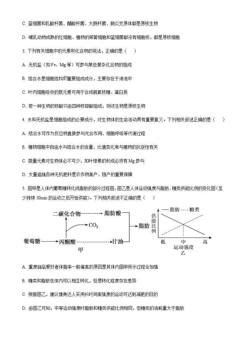 湖南省长沙市平高集团六校2023-2024学年高一上学期期中联考生物试题（原卷版）第2页