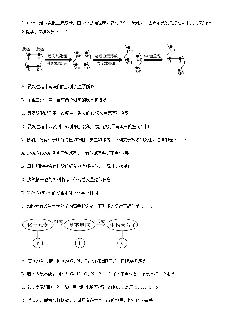 湖南省长沙市平高集团六校2023-2024学年高一上学期期中联考生物试题（原卷版）第3页