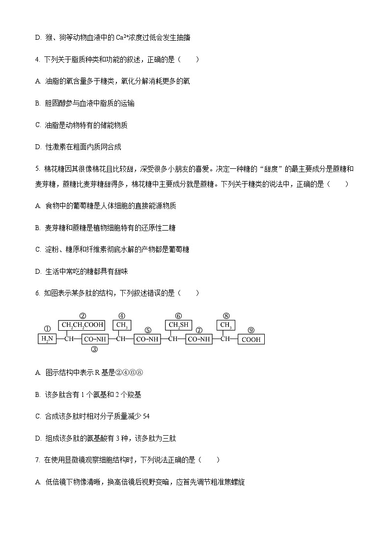 2023-2024学年浙江省杭州第四中学六县九校联盟高一上学期期中联考生物试题含答案02