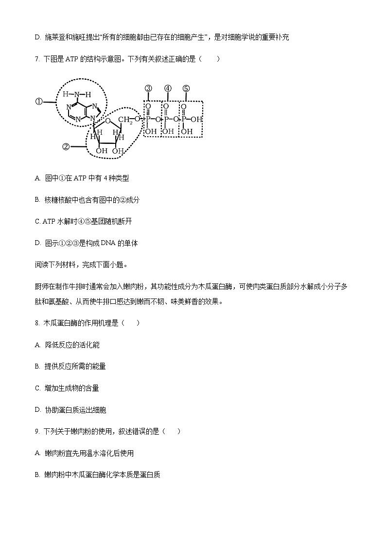 2023-2024学年浙江省杭州市外国语学校北斗联盟高一上学期期中联考生物试题含答案03