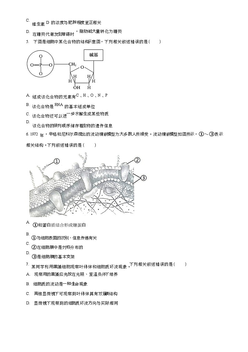 2023-2024学年福建省龙岩市一中非一级达标校高一上学期期中生物试题含答案02