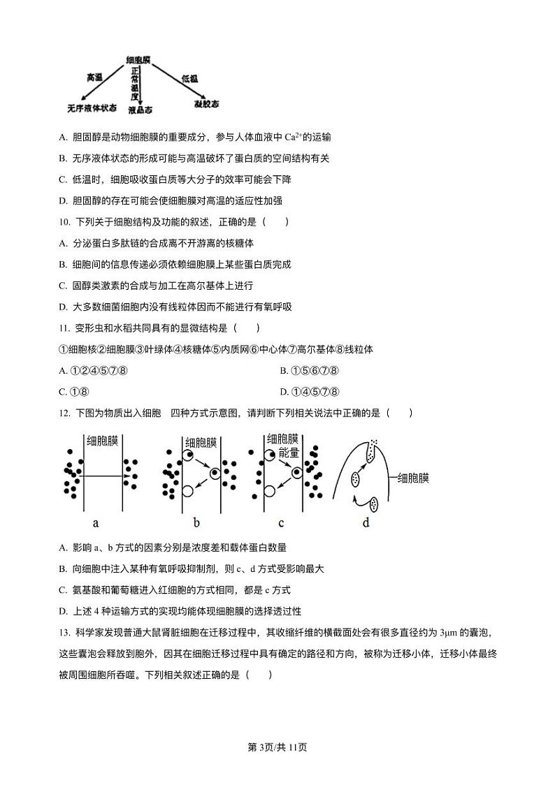 2023-2024学年福建省厦门双十中学高一上学期期中生物试题含答案03