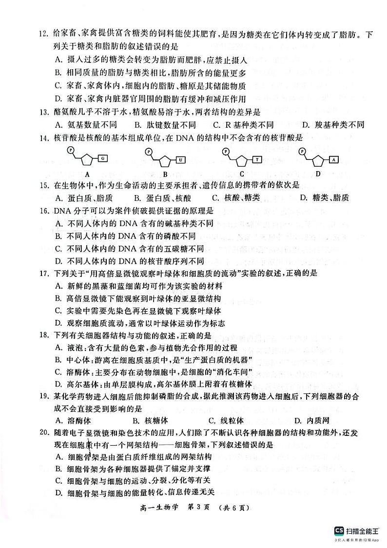 2023-2024学年河南省开封市高一上学期期中调研检测生物含答案03
