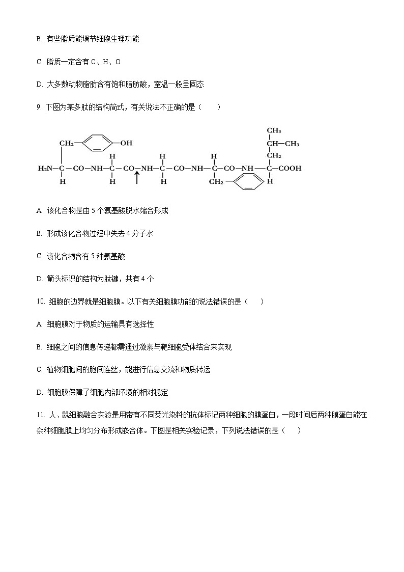湖南省长沙市长郡中学2023-2024学年高一上学期期中生物试题（原卷版）第3页