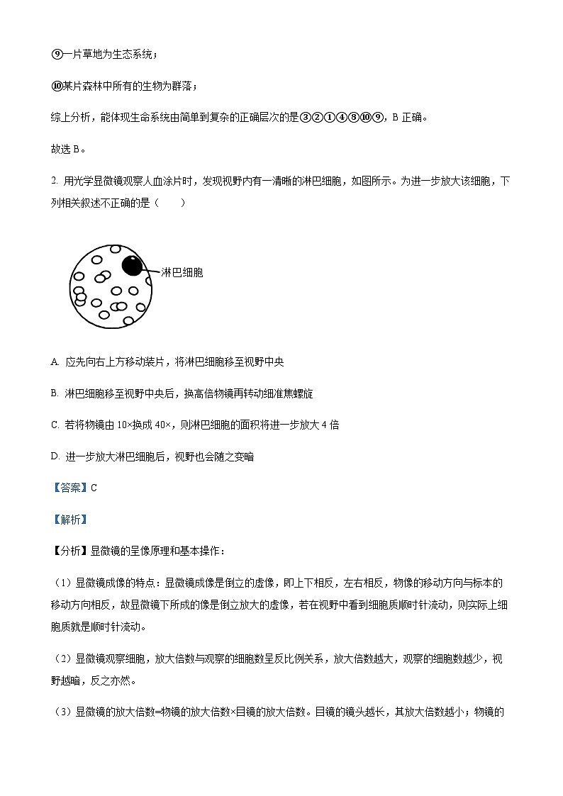 湖南省常德市一中2023-2024学年高一上学期期中生物试题  Word版含解析 第2页