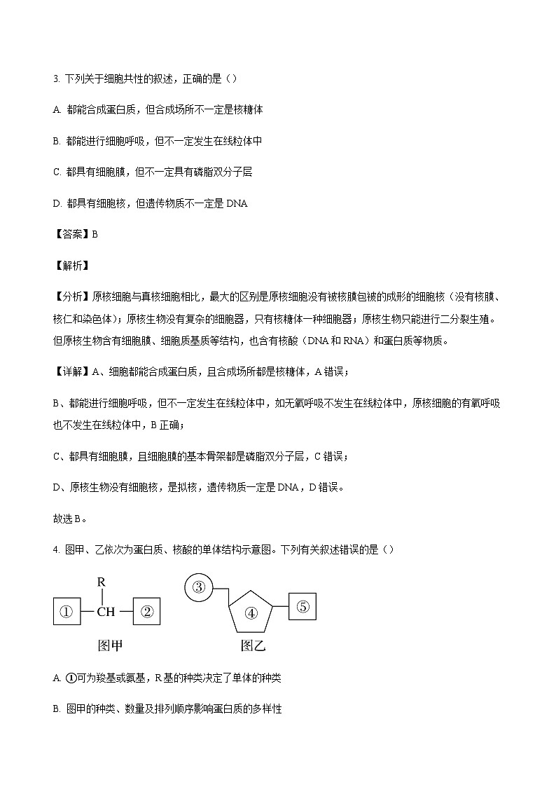 2023-2024学年江苏省泰兴市、兴化市高一上学期期中调研测试生物含答案03