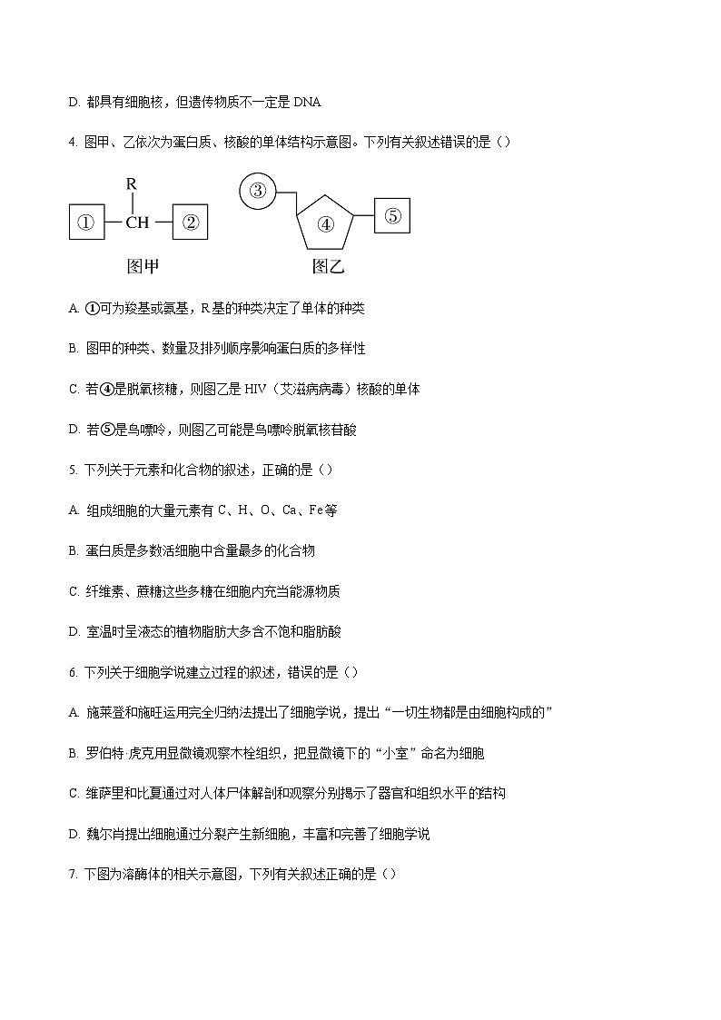 2023-2024学年江苏省泰兴市、兴化市高一上学期期中调研测试生物含答案02
