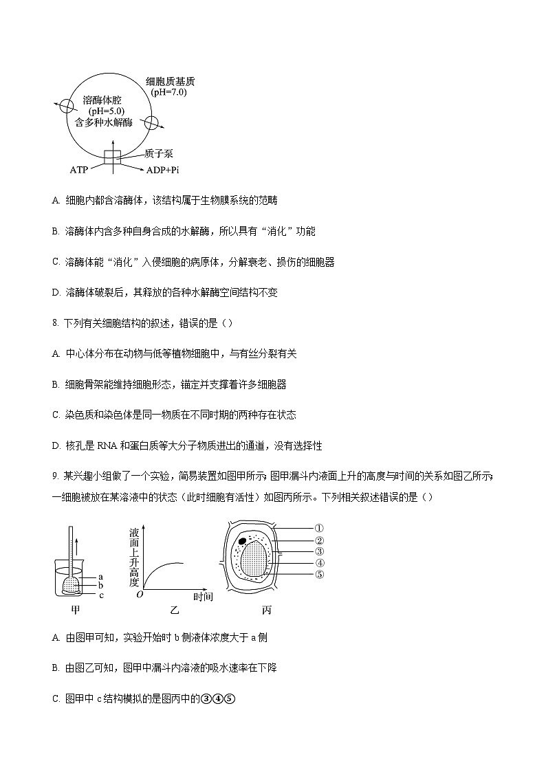 2023-2024学年江苏省泰兴市、兴化市高一上学期期中调研测试生物含答案03