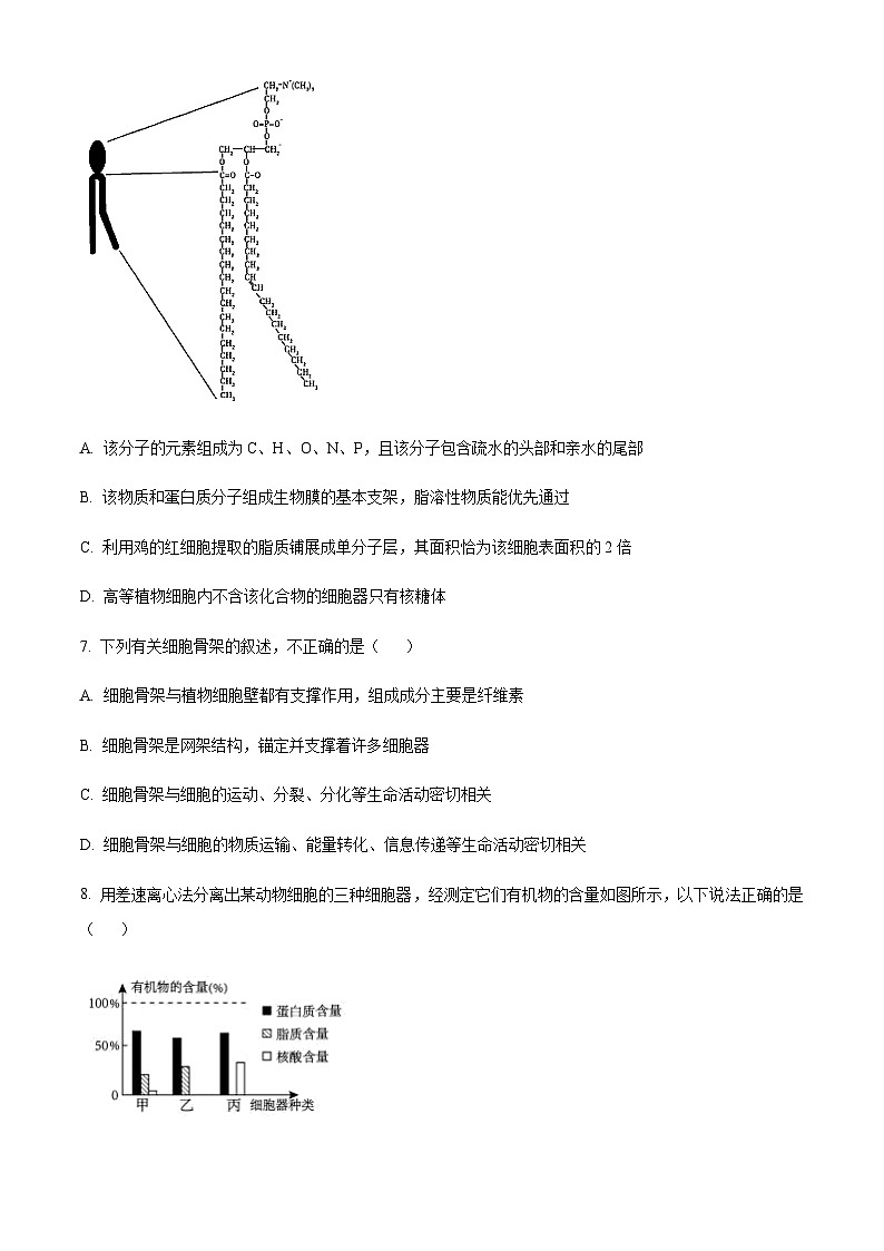 2023-2024学年山西省大同市云冈区中学高一上学期期中生物试题含答案03