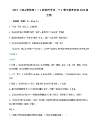 2023-2024学年四川省成都市成华区重点校高一上学期期中生物试题含答案