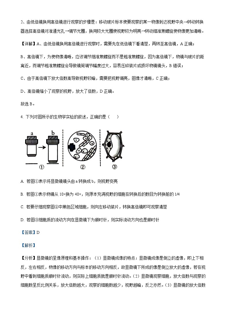 2023-2024学年四川省泸州市泸县第一中学高一上学期期中生物试题含答案03