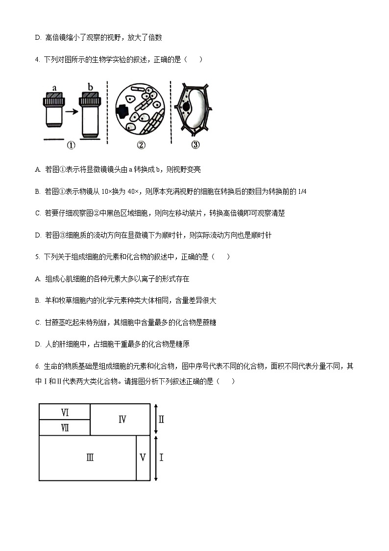 2023-2024学年四川省泸州市泸县第一中学高一上学期期中生物试题含答案02